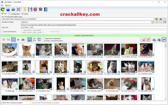 Bulk Image Downloader Crack 6.14