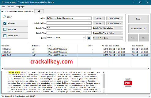 FileSeek Pro Crack 6.7.0 