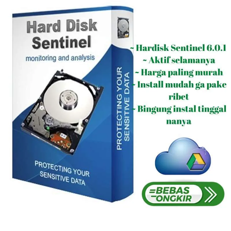 Hard Disk Sentinel Pro 